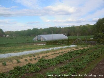 20 Benefits of Having a Hoophouse Image